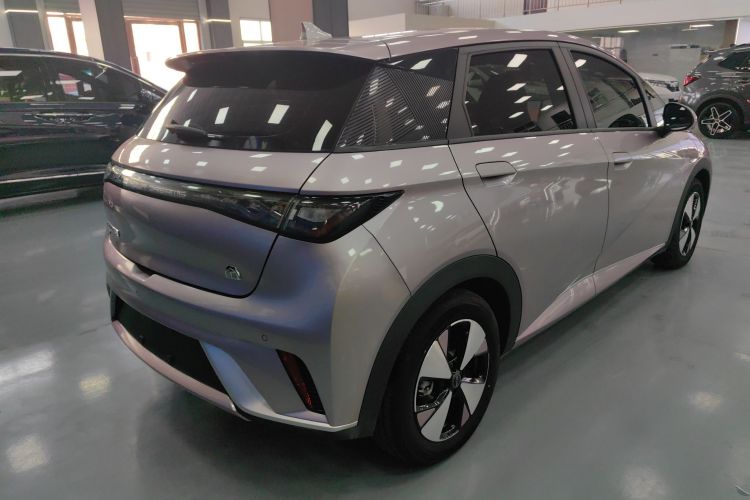 比亚迪 海豚 2023款 420km 自由版车身外观7