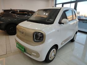 奔腾小马 2024款 170km 活力马