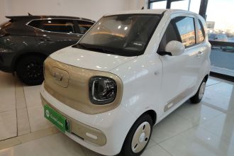 奔腾小马 2024款 170km 活力马