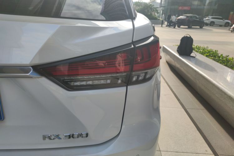 雷克萨斯RX 2020款 改款 300 两驱舒适版车身外观9