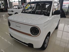 吉利银河 2024款 熊猫mini 200km 耐力熊