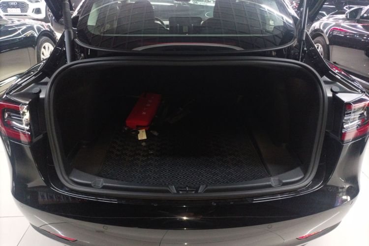 特斯拉 Model 3 2021款 标准续航后驱升级版 3D6机舱底盘23