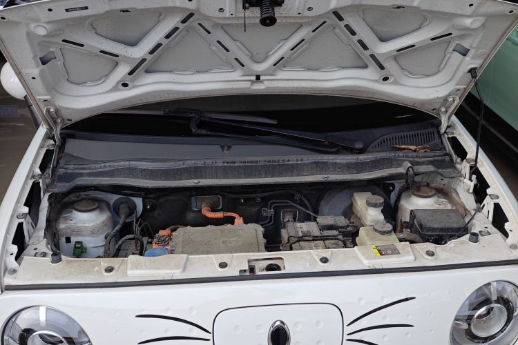 欧拉黑猫 2021款 301km 基础型机舱底盘24