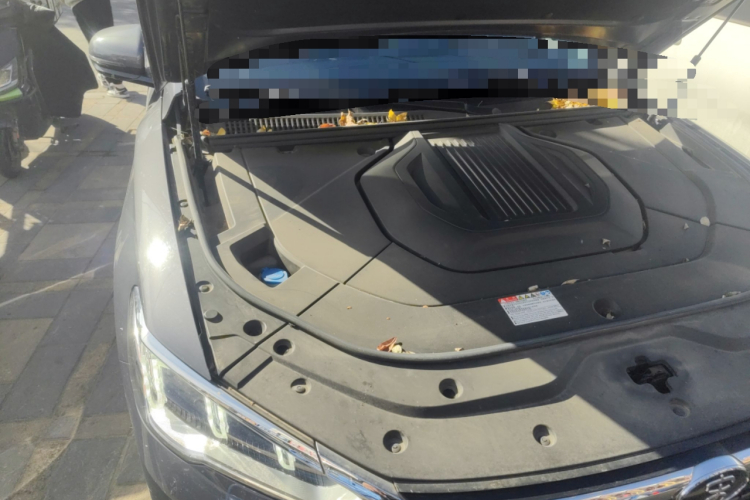 比亚迪 宋Pro新能源 2019款 EV 高功率高续航版旗舰型局部细节9006