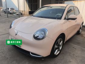 欧拉好猫 2023款 401km标准续航 豪华型 磷酸铁锂