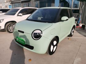 长安启源 长安Lumin 2023款 301km 蜜沁款