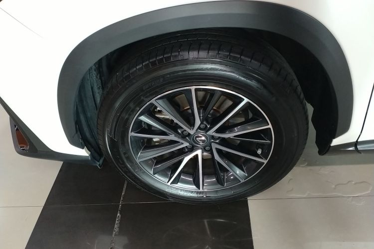 雷克萨斯NX 2023款 260 前驱 创游特别版车身外观6007