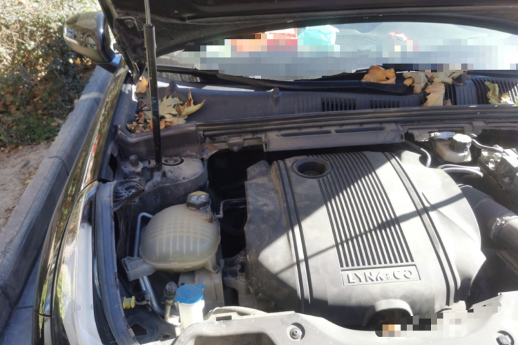 领克03 2019款 1.5TD DCT劲版 国VI局部细节9006