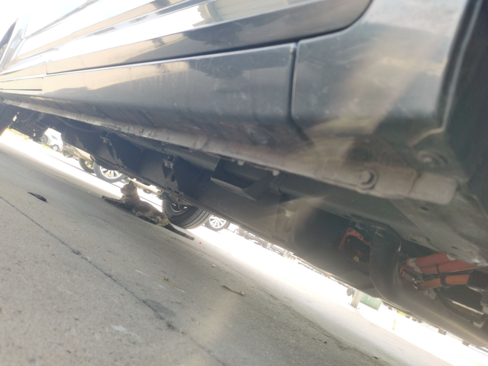 五菱汽车 五菱征程新能源 2023款 舒适型