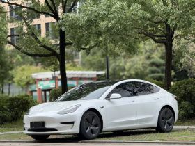 特斯拉 Model 3 2020款 改款 标准续航后驱升级版