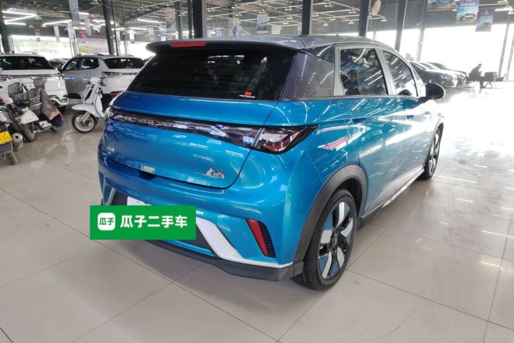 比亚迪 海豚 2021款 401km 骑士版车身外观7