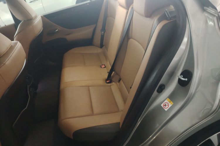 雷克萨斯ES 2018款 300h 卓越版 国VI中控内饰21