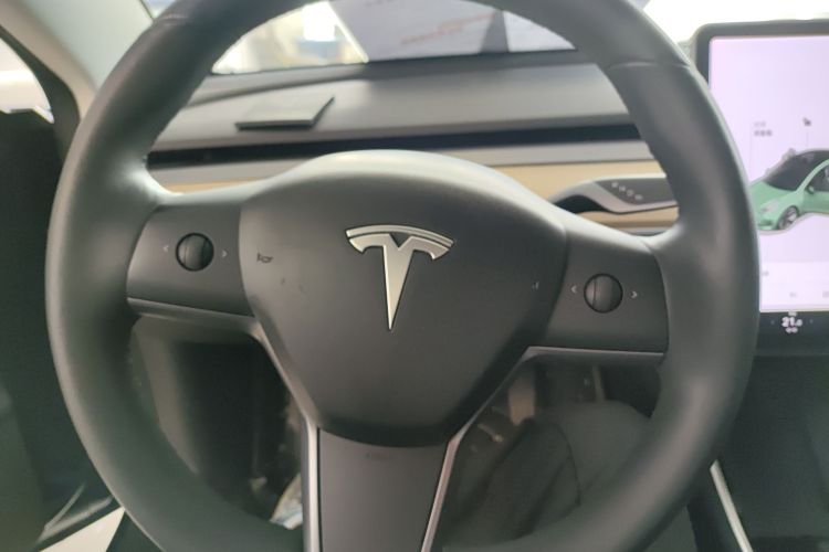 特斯拉 Model 3 2019款 标准续航后驱升级版局部细节13