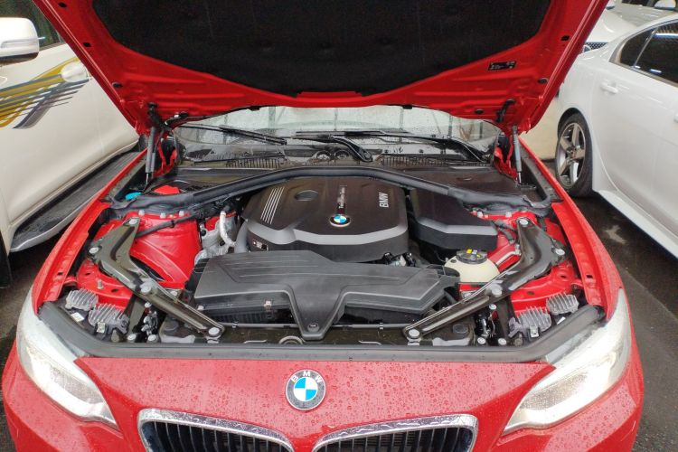 宝马2系(进口) 2015款 218i 敞篷轿跑车局部细节24