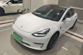 特斯拉 Model 3(进口) 2019款 长续航后驱版