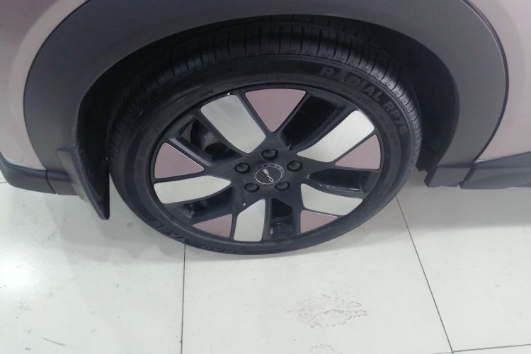 比亚迪 海豚 2023款 401km 骑士版车身外观6008