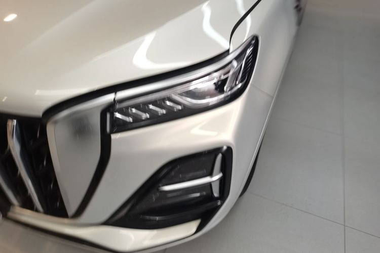 红旗HS5 2023款 2.0T 旗享Pro版局部细节36