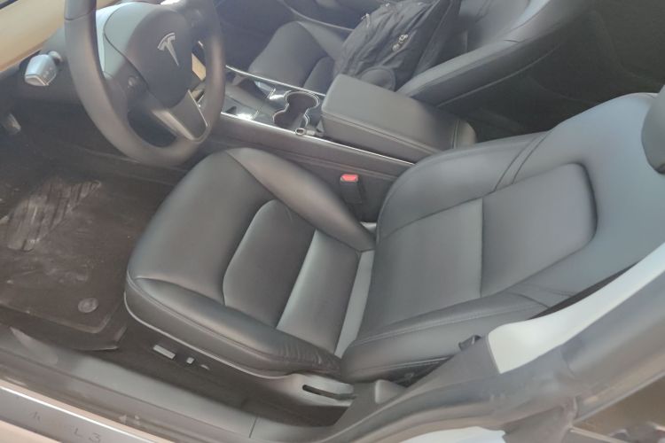 特斯拉 Model 3(进口) 2019款 标准续航后驱升级版(60度)中控内饰19