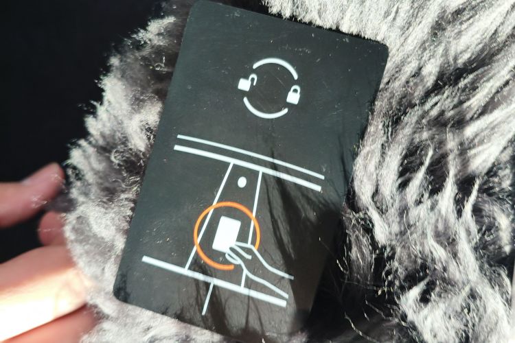 特斯拉 Model 3 2021款 Performance高性能全轮驱动版中控内饰7001