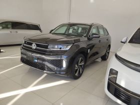 大众 揽巡 2024款 改款 380TSI 四驱R-Line巡游 众享款