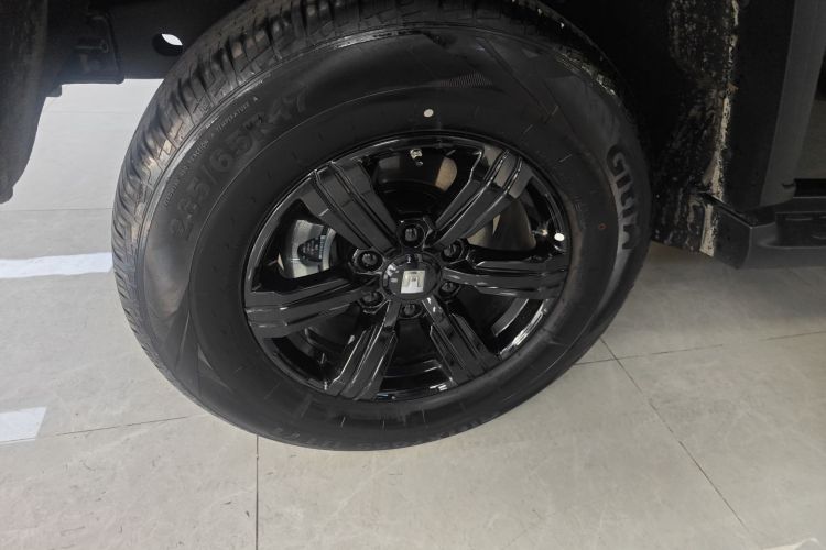 坦克300 2025款 2.0T 征服者车身外观6008