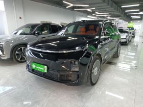 理想汽车 理想L9 2022款 Max