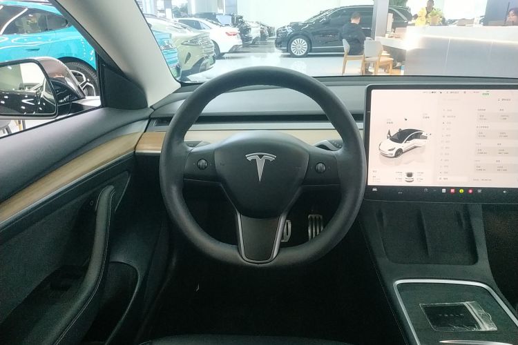 特斯拉 Model 3 2022款 Performance高性能全轮驱动版局部细节13