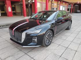 红旗H5 2024款 2.0T 自动智联旗畅版