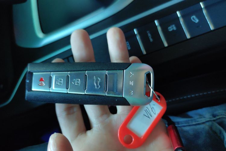 魏牌 VV6 2021款 2.0T 两驱智享+中控内饰7001