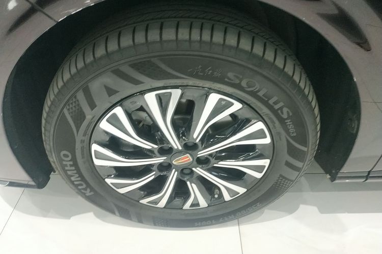 红旗HQ9 PHEV 2024款 2.0T 四驱豪华版车身外观6007