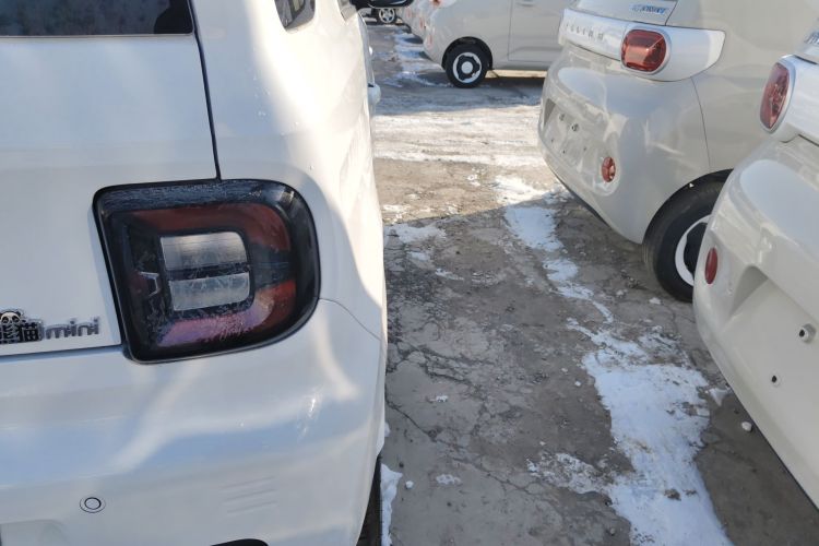 吉利银河 2024款 熊猫mini 200km 耐力熊车身外观6006