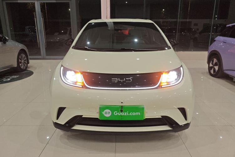 比亚迪 海豚 2024款 荣耀版 420km 自由版车身外观2