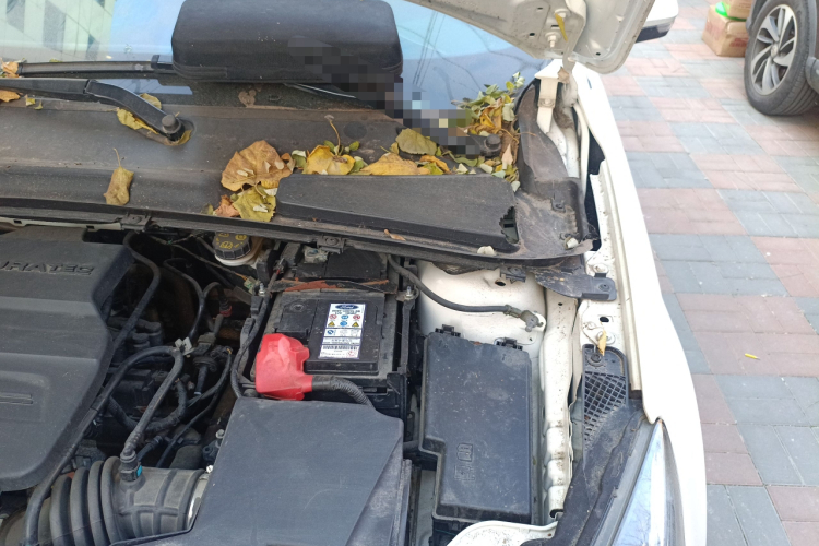 福特 福睿斯 2015款 1.5L 手动时尚型局部细节9007