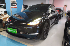 特斯拉 Model Y 2022款 Performance高性能全轮驱动版