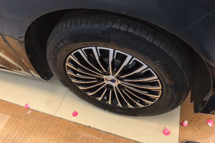 腾势D9 2024款 DM-i 1050 尊享型车身外观6008