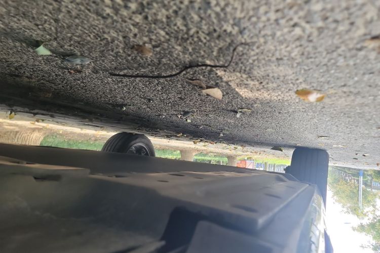 比亚迪 秦PLUS 2024款 荣耀版 EV 420KM领先型局部细节9001