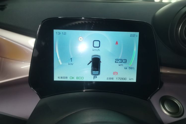 比亚迪 海豚 2021款 401km 骑士版局部细节14