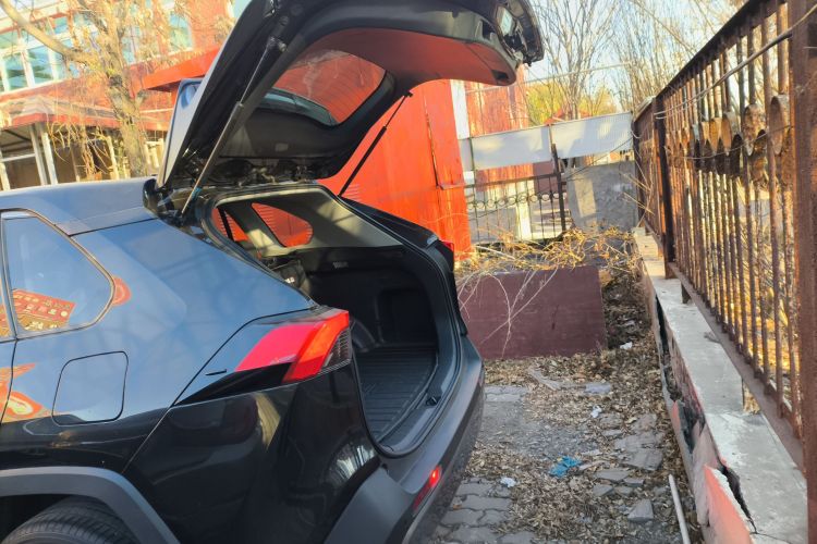 丰田 RAV4荣放 2020款 2.0L CVT两驱风尚版机舱底盘23