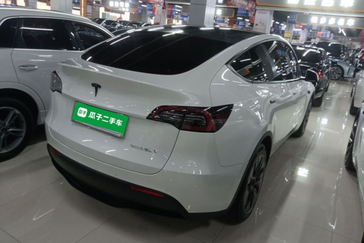 特斯拉 Model Y 2021款 标准续航后驱版车身外观6005