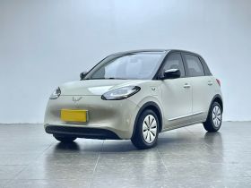 五菱汽车 五菱缤果 2023款 333km 快享款