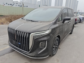红旗HQ9 PHEV 2024款 2.0T 四驱商务版