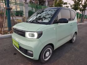 五菱汽车 宏光MINIEV 2021款 马卡龙臻享款 磷酸铁锂