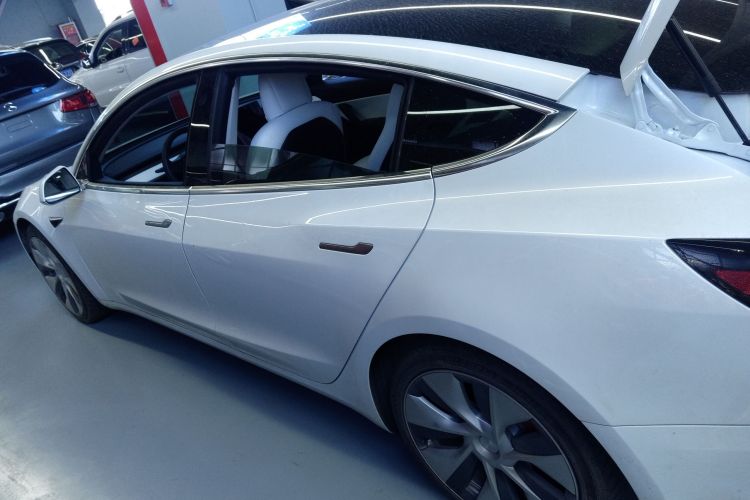 特斯拉 Model 3(进口) 2019款 Performance高性能全轮驱动版车身外观4