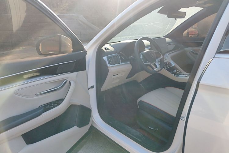 比亚迪 宋PLUS新能源 2021款 EV 尊贵型中控内饰20