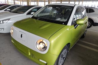 欧拉黑猫 2021款 301km 基础型