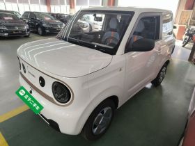 吉利银河 2024款 熊猫mini 200km 耐力熊
