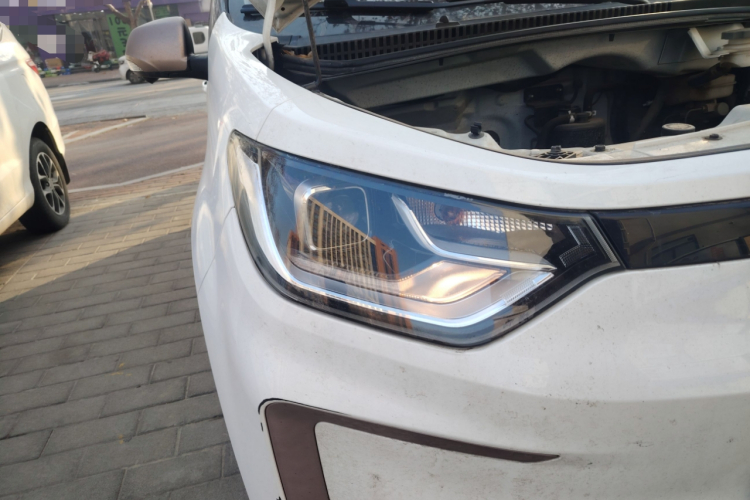 思皓 2022款 花仙子款 四叶草车身外观8