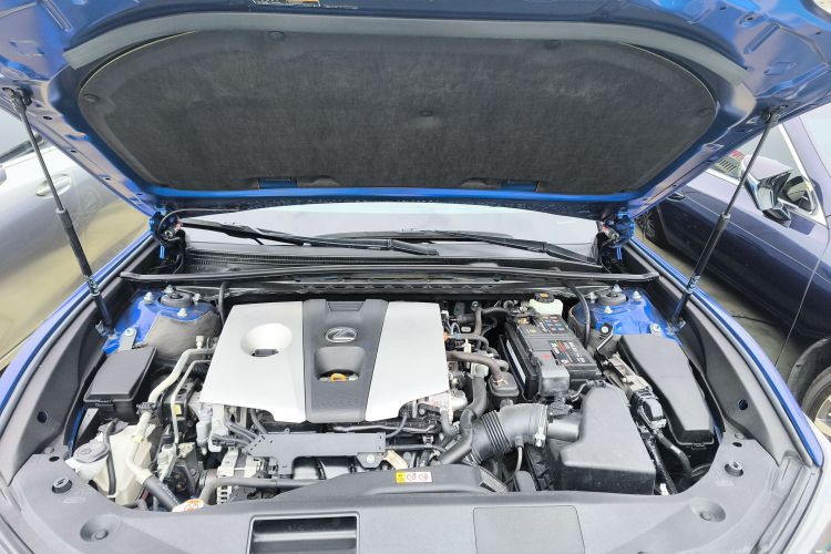 雷克萨斯ES 2020款 260 F SPORT局部细节24