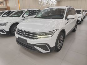 大众 途观L 2022款 330TSI 自动两驱舒享版