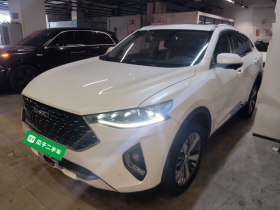 哈弗F7x 2019款 2.0T 两驱极智科技版
